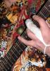 Blues Package 2
